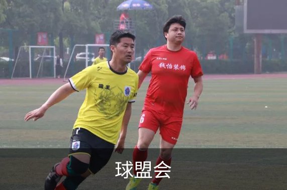 球盟会概况